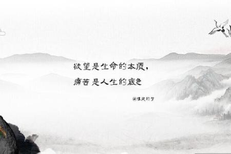 不见光的人生：探索阴影中的命运与希望