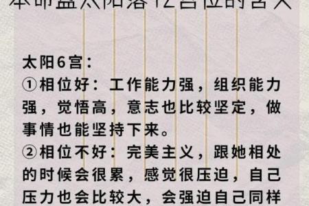 揭秘命盘解析：被人开命盘的意义与价值