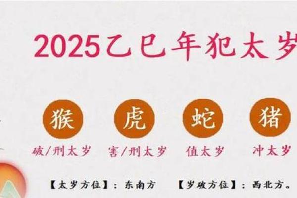 2037年属什么命？揭开生肖的神秘面纱！