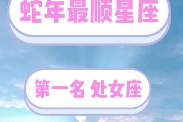 揭秘蛇年腊月出生的命理特征与未来运势分析