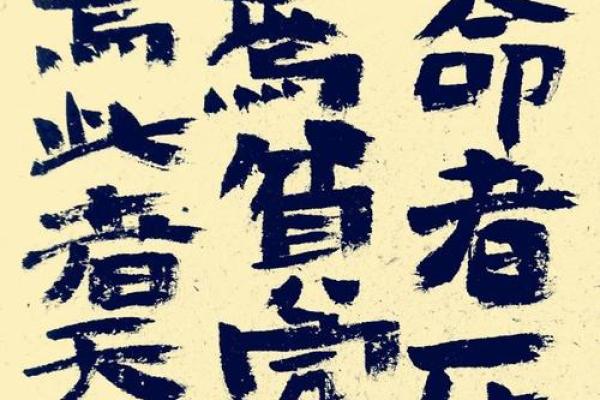 命有贵贱，贵命的深意与生活的选择