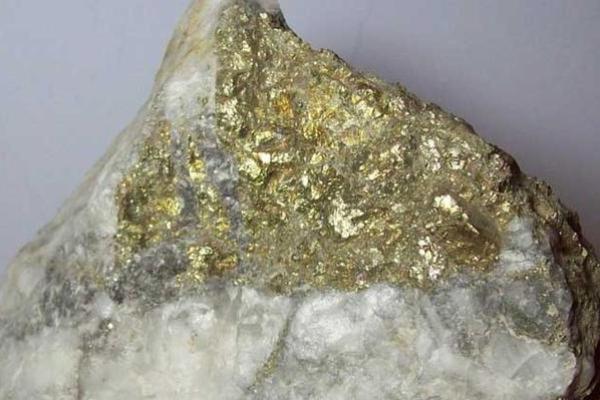 海中金命与剑锋金命的深入对比：你了解它们的差异吗？