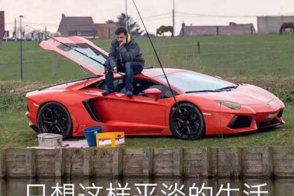 从小没人关注的命，如何在平淡中闪耀？