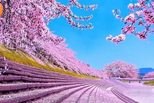 春暖花开，四月的美丽与希望