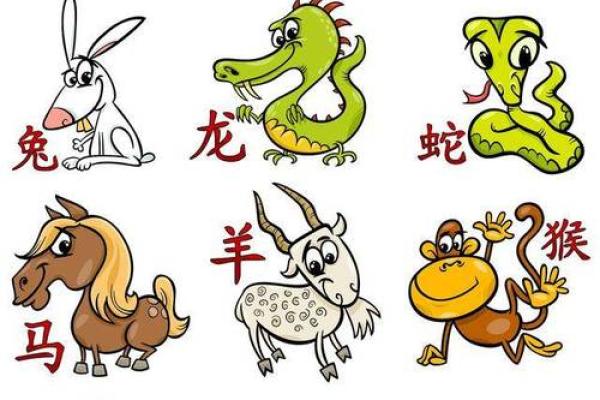 命运的指引：不同年份的生肖与命理
