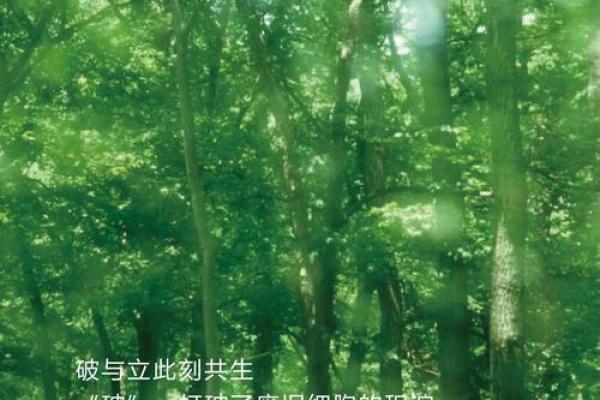 命运的交织：我的命就是你的命，人生的相互依赖与共生哲学