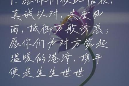 惜你如命，视你若命：爱情的真谛与内涵透视