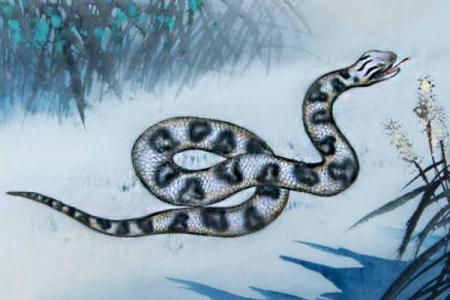 2037年属什么命？揭开生肖的神秘面纱！