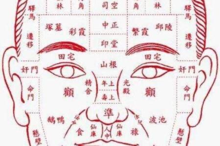 探讨女性命格：长相与命运的微妙关系与影响
