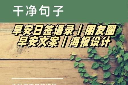 从小没人关注的命，如何在平淡中闪耀？