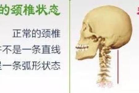 婴儿骨头硬是命的重要性与健康成长的关系