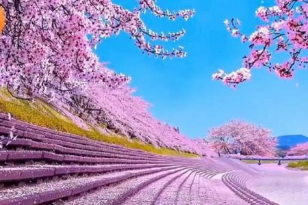 春暖花开，四月的美丽与希望