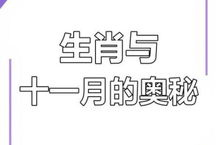 香港出生的宝宝属什么生肖？揭秘生肖的奥秘与命运