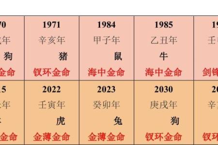 木命孩子为何选择土命者担任干妈的秘密揭示