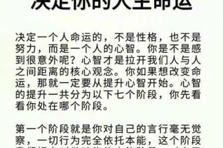 命运的交织：我的命就是你的命，人生的相互依赖与共生哲学
