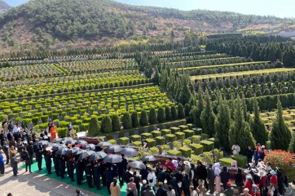 揭秘仙命与葬山之间的神秘关联，打造完美安葬之地！