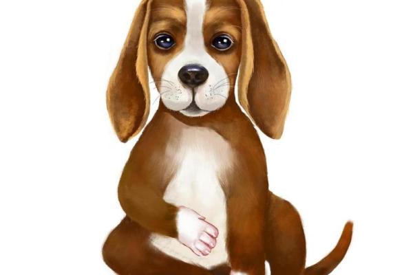 解读五两一女命属狗的命理特征与运势