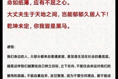 应命是什么意思？探讨生活中顺应命运的智慧与意义