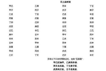 狗生于卯时，命理解析与性格特点深度分析