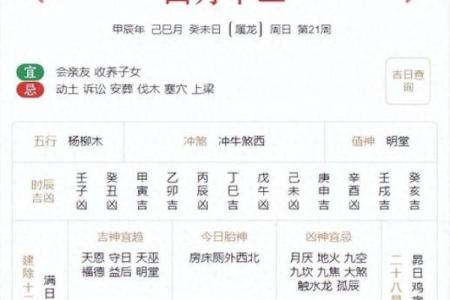 2024年生肖好运势解析：如何掌握你的运势，迎接美好未来！