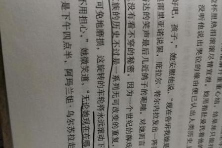 为什么命运不允许我们玩木头？揭开木头背后的秘密！