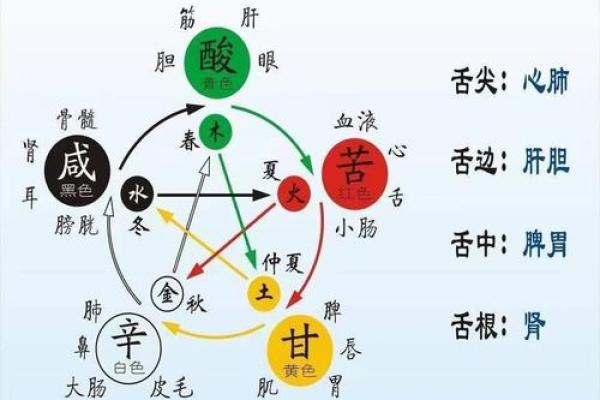 木命女性与命理相合的理想伴侣探讨
