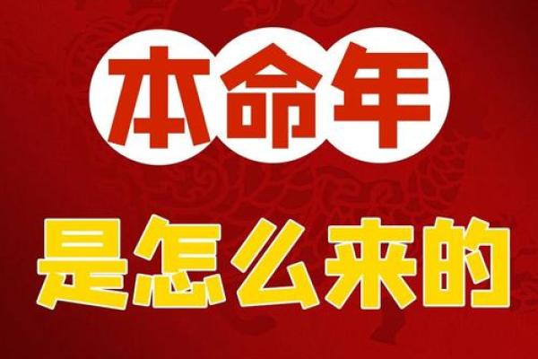 欣然命出，乐在其中的生活哲学探讨
