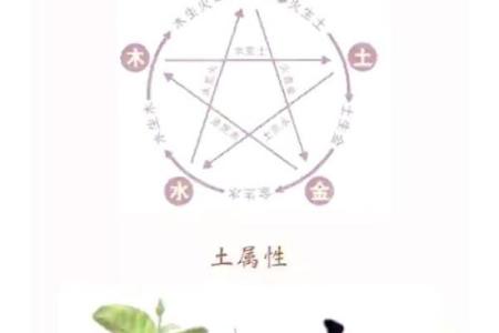 土命人适合从事哪些职业？探索事业选择之道！