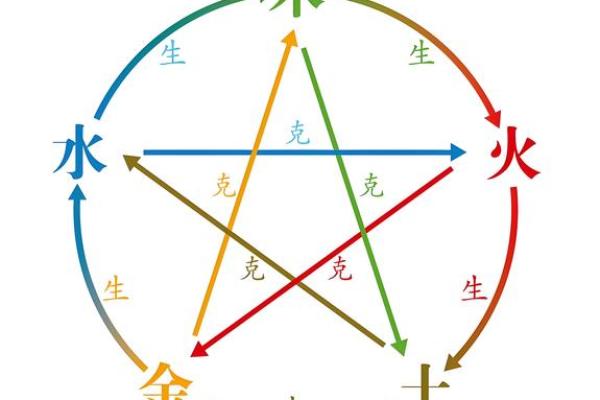 木命人最佳星座揭秘：与生命之木的和谐相伴