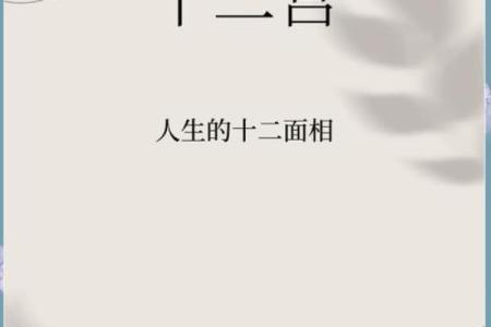 中庭较长的人运势：探索命理与人生的奥秘