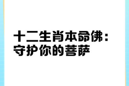 每年都有不同命，生肖命运与我们的生活息息相关