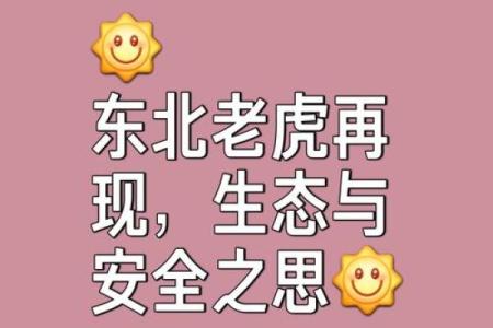夏季虎宝宝：守护与机遇并存的生命符号