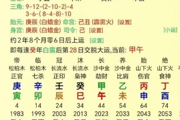 土龙生于巳时：探寻命理中的奥秘与人生轨迹