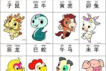 命人属什么生肖好呢？探寻生肖与命运的奇妙关系！