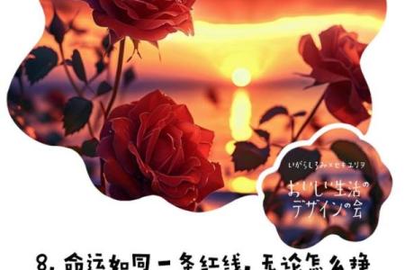 命运的交织：父母的选择与自我的追寻