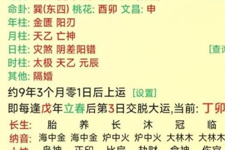 戊土为用神的男命解析：深度分析与运势探讨
