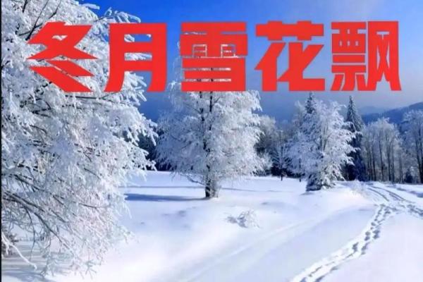 1997年冬月:冰雪中的生命奇迹与感动故事 1997年冬月:冰雪中的生命奇迹与感动故事
