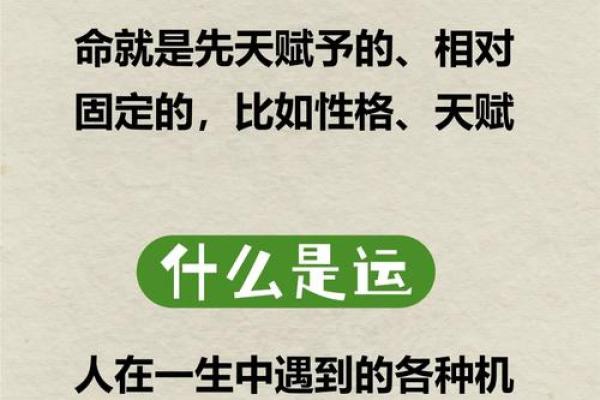命理师为何不信命：探索命运与选择的微妙关系