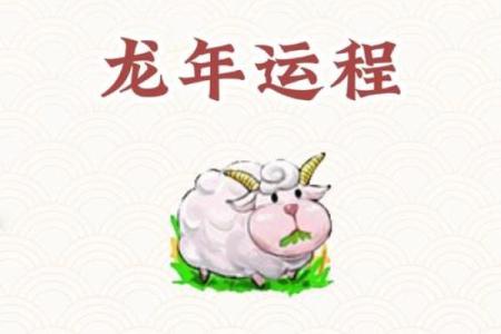 龙年凌晨出生的命运解析：揭示你的运势秘密