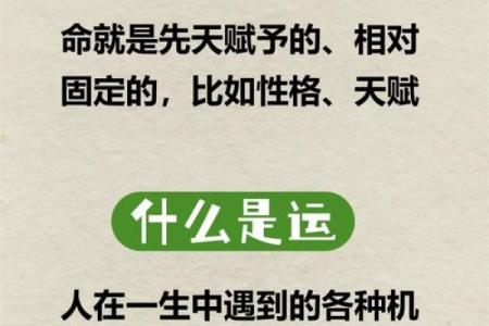命理师为何不信命：探索命运与选择的微妙关系