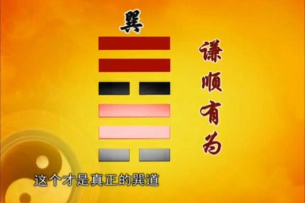 午时出生的男女命运解析：揭示命理背后的秘密