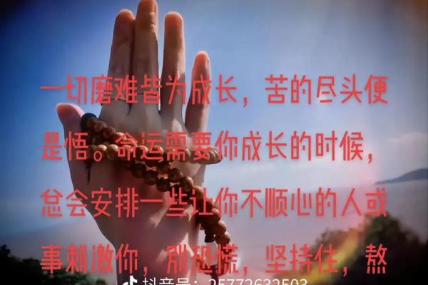 探寻命运的真谛：什么是命好？