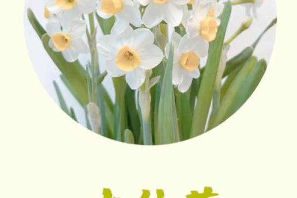 水命佩戴花卉的妙用：让您的生活更加美好