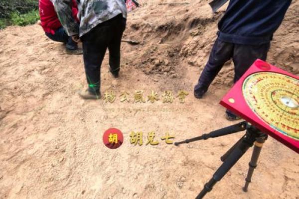 平地木命：寻找发财方位的秘密之旅