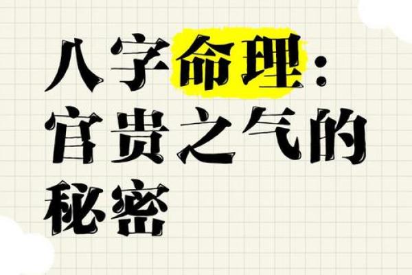 算命揭秘：你命中的秘密与未来的指引
