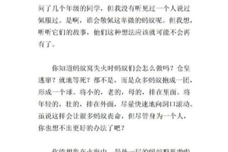 阴历1027的命运解析：命格、性格与生活启示