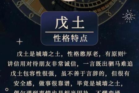 戊辰辛酉癸未的命运解析：一探命理深奥之道