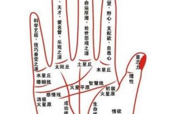 什么叫做富贵命?揭秘女性命运背后的深意与智慧 什么叫做富贵命?揭秘女性命运背后的深意与智慧