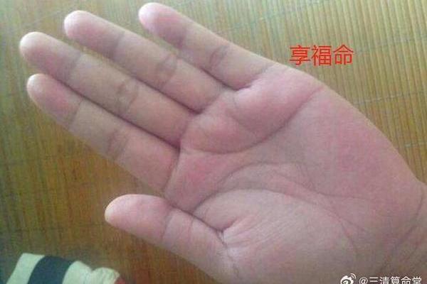 手掌薄的人是什么命？揭示命运的奥秘与人生的启示
