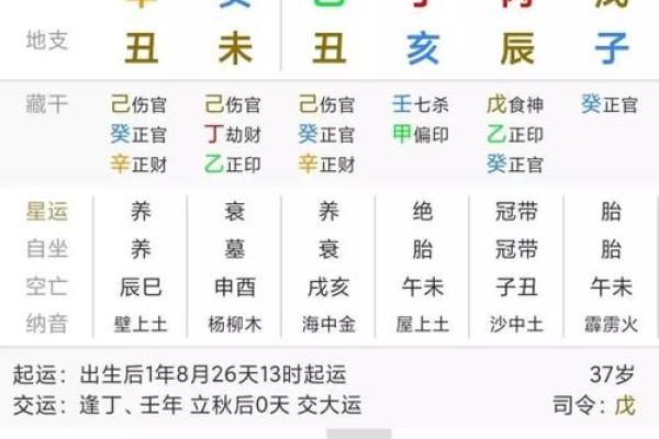 命运的色彩：解读生命中的不同属性与运势